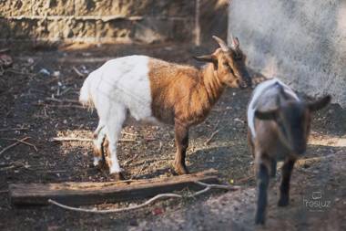 Hotel Sierra Quilama