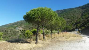 2147-Beautiful 2 bedrooms with sea view