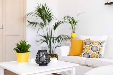 Casa tradicional Canaria en La Laguna centro