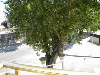 Apartamentos Novelty Arysal