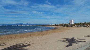 DIFFERENTFLATS Rubens