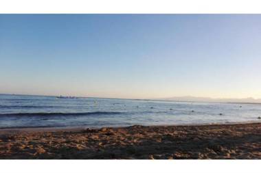 Festival Village Apartments