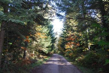 Hotel Hostal Estrella