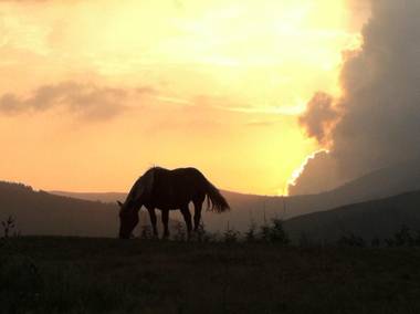 Apartamentos Cuatro Aguas
