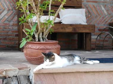 La Riguera De Ucieda