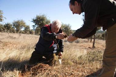 Hotel Los Leones - Adults Only