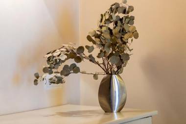 Hotel Boutique Niu de Sol