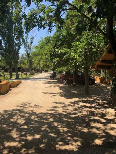 Yeguada Senillosa - Turismo Rural