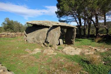 Global Immo 1037 MEDA CHICA BX