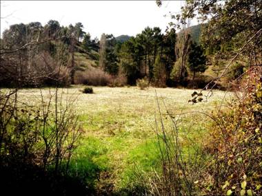 Casas Rurales Picos Del Oso