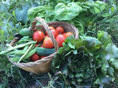 Hotel Rural-Spa Resguard Dels Vents