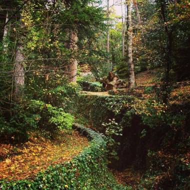 Els Apartaments del bosc