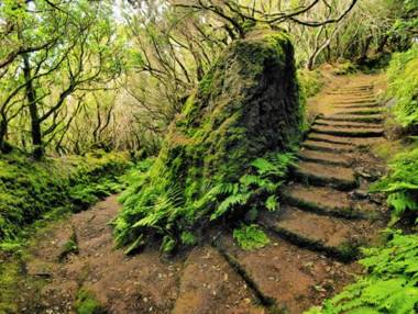 Vistas al TeidePiscina WiFi