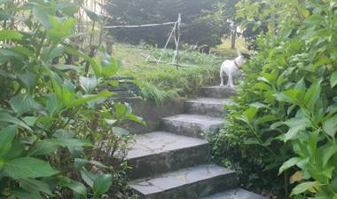 CASA DE CAMPO LAS ROZAS