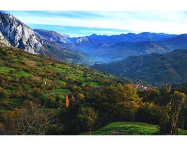 Carbayu Senda del Oso