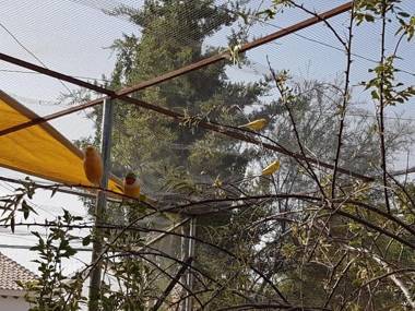 Complejo Rural Ibipozo