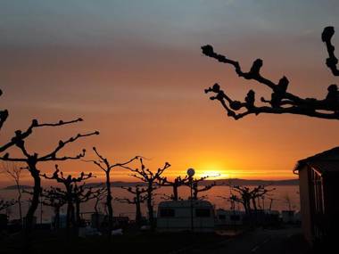 Camping Paxariñas Bungalow Park