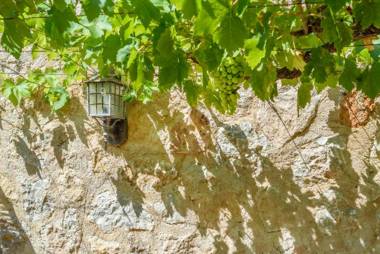 Finca Can Solivellas