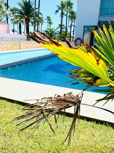 Atico Boutique Ambassador