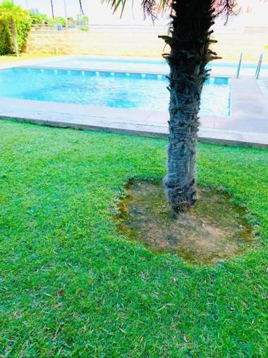 Atico Boutique Ambassador