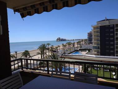 Albatros I Orange Costa