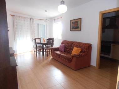 Maestro Bayarri HC-2D