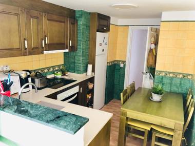 CENTRICO LABRADORES 15