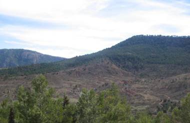 Almenara Hostal Restaurante