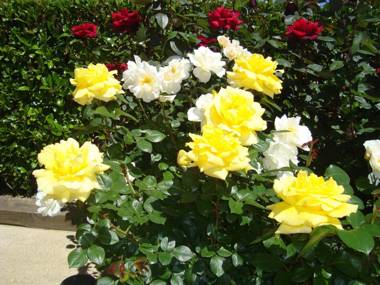 Masía Rural Can Poch