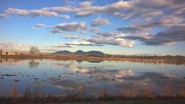 Casa adosada en Playa de Pals