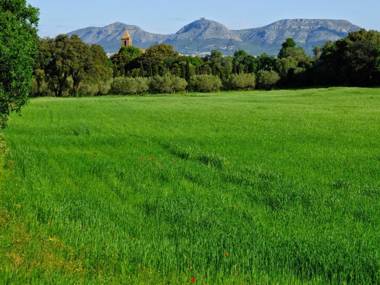 Mas Ferran Adults Only