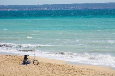 Historical House Palma