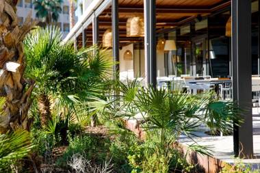 Aubamar Suites & Spa