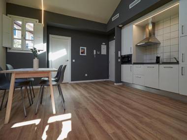 Apartantiguo Altamirano 13