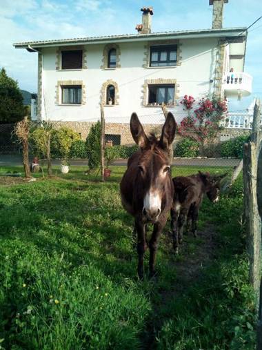Agroturismo Pagoederraga