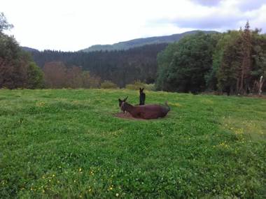 Agroturismo Pagoederraga