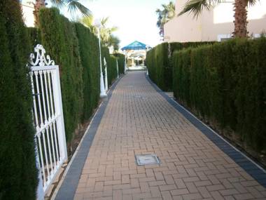 AD1000 Malybu Beach Oliva Nova