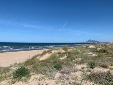 PALMERAS EN LA PLAYA - Beach House in Oliva