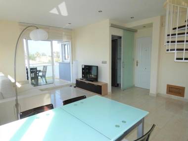 AP204 Renoir Oliva Nova