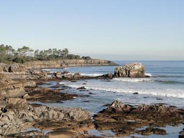 Apartamentos El Pinedo
