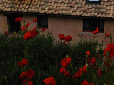 Apartamentos El Brezo