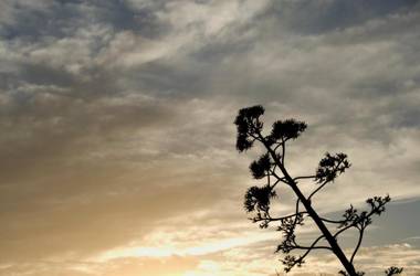 El Jardín de los Sueños