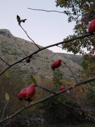 Las Tejeruelas Casa Rural