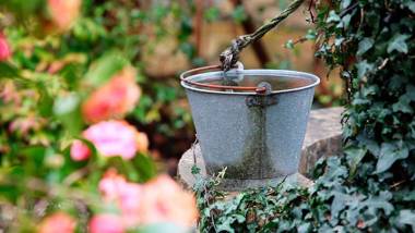 El Pedrueco Turismo Rural