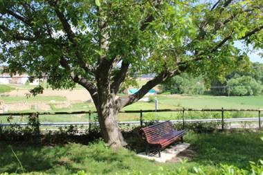 Apartamento Naturaleza