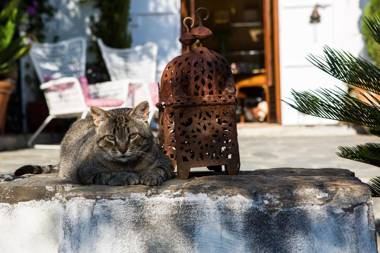 La Almunia del Valle