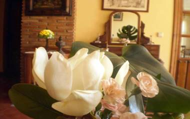 Hotel Boutique Alicia Carolina