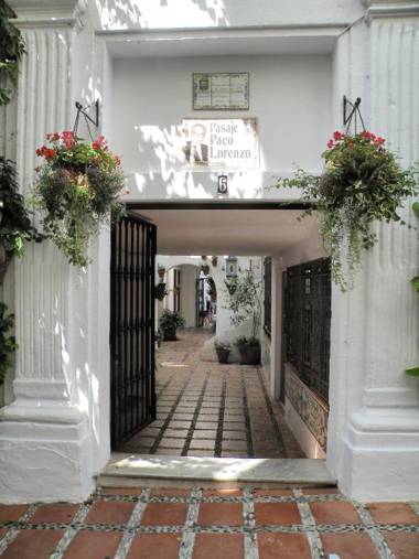 A relaxed bohemian vibe in Old town