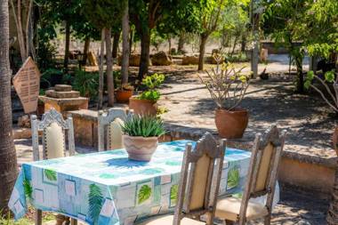 Can Falco - Finca es Pla Nou