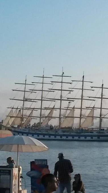 Serendipity Apartments